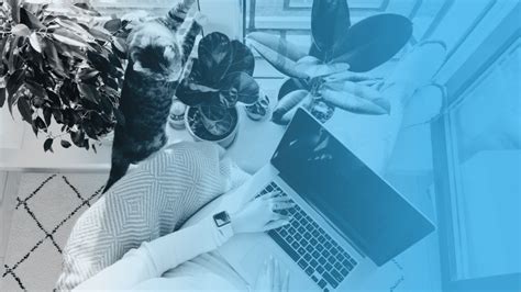 12 Best Nonprofit Software Tools for Every Organization.